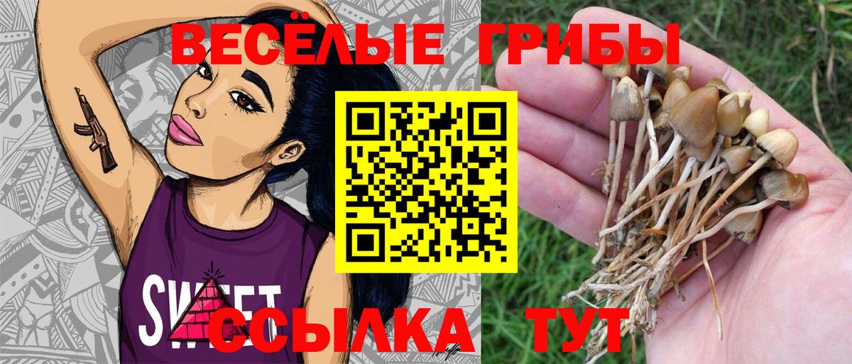 МАРИХУАНА Партизанск