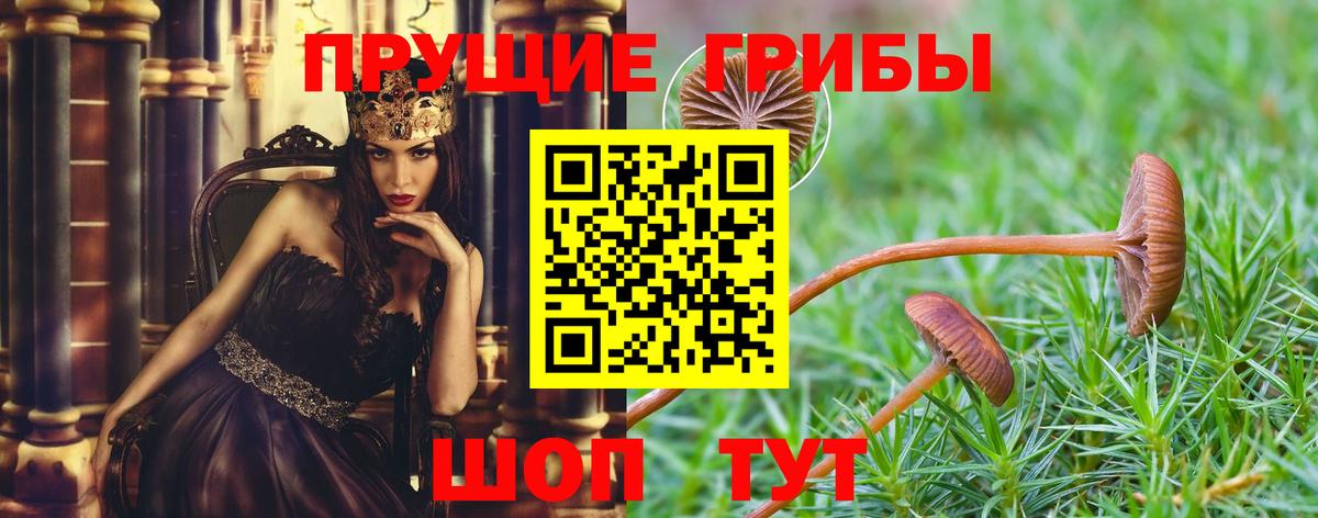 Галлюциногенные грибы мухоморы Партизанск
