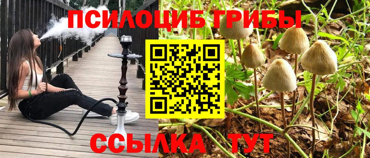 Партизанск  Галлюциногенные грибы мухоморы  где купить   Вход с VPN 